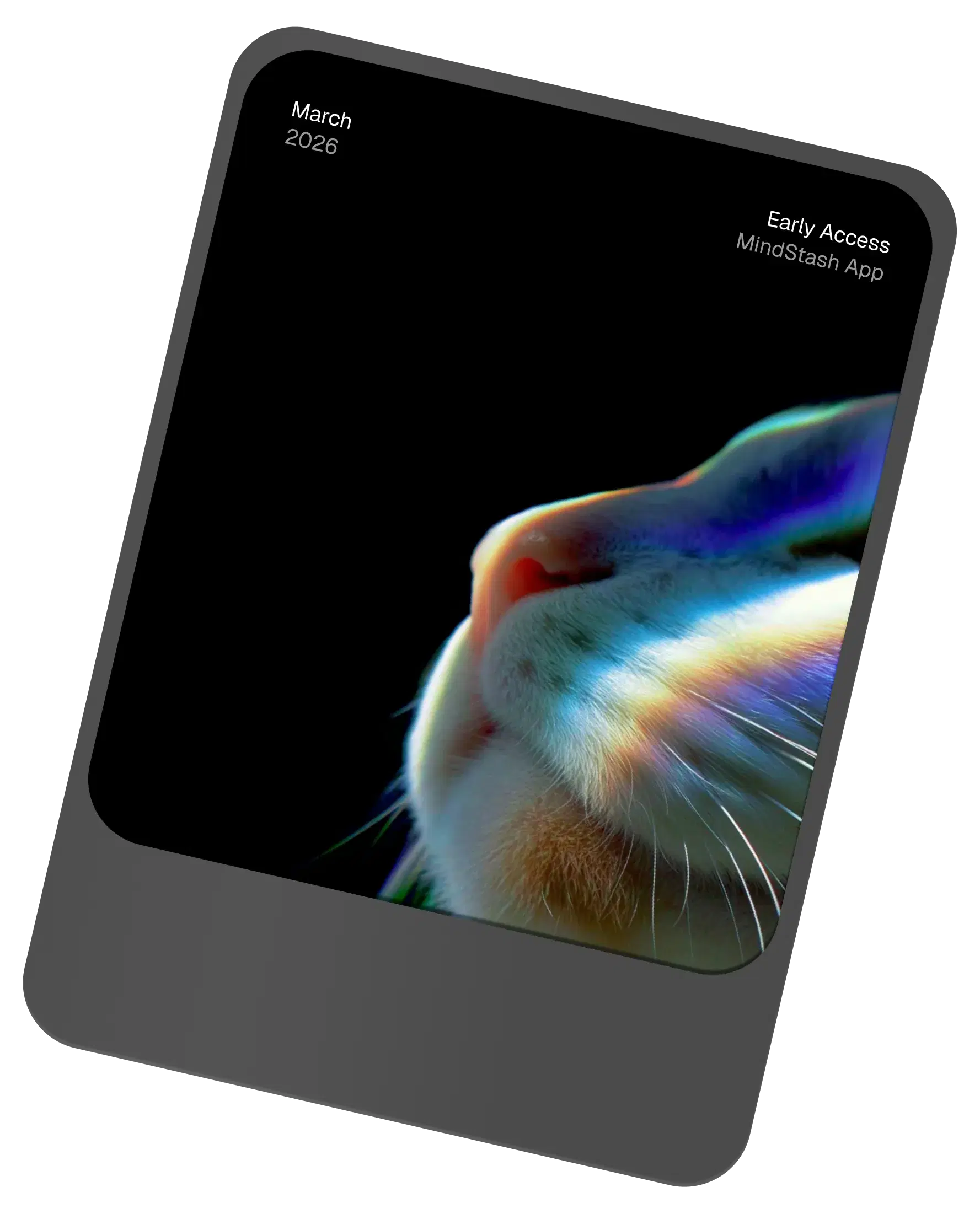 MindStash mobile app feed with captured notes and inspiration